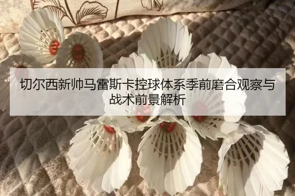 切尔西新帅马雷斯卡控球体系季前磨合观察与战术前景解析