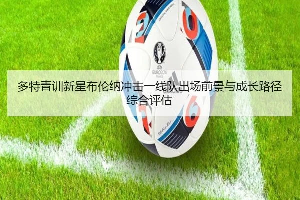 多特青训新星布伦纳冲击一线队出场前景与成长路径综合评估